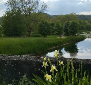 Boucle VTC dans la vallée de l'Ornain - Nançois-sur-Ornain - 5