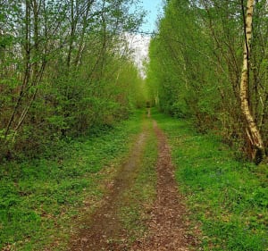 Parc des Bruyères à Fère-en-Tardenois - Fère-en-Tardenois - 4