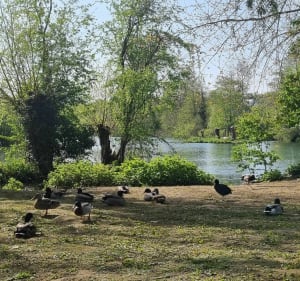 Parc de la Bouvaque - Abbeville - 4