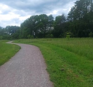 De Cordeliers vertrekken vanaf het eiland Ronde - Saint-Pourçain-sur-Sioule - 5