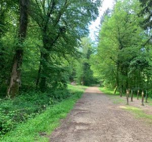 Balade en forêt de Rothonne - Belley - 3