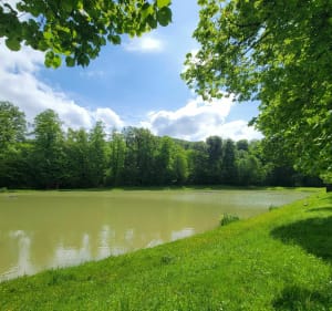 Boucle de Hirsingue au plan d'eau de Reiningue - Hirsingue - 3