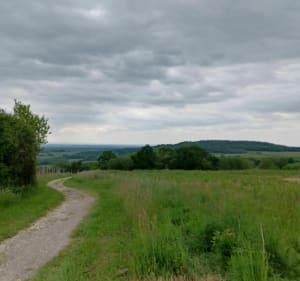 Balade de la Croix Boyon par la Meulière - Moissey - 3