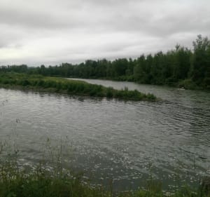 Boucle de Denguin à Labastide-Cézéracq - Denguin - 3