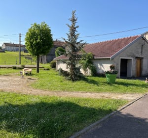 Balade sur La Valleroyse - Valleroy-aux-Saules - 3