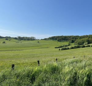 Balade sur La Valleroyse - Valleroy-aux-Saules - 5