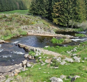 Tussen meren en rivieren op het hoogplateau van Aubrac - Nasbinals - 4