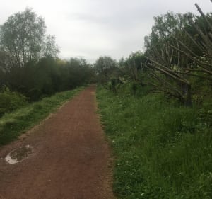 Balade à travers la campagne, les étangs & canal de Beuvry. - Noyelles-lès-Vermelles - 4