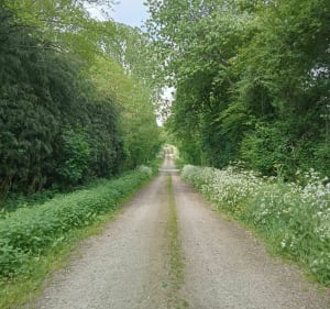 Randonnée familiale à La Roche-sur-Yon - Mouilleron-le-Captif - 3