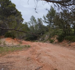 Dans la garrigue, De Fontvieille aux Baux de Provence - Fontvieille - 5