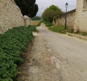 Petit tour de Cauvigny - Cauvigny - 4
