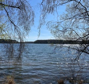 Boucle du lac de Trémelin à l’étang de Careil - Iffendic - 3