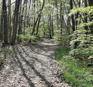 Randonnée champêtre entre Eyzin et ses alentours - Eyzin-Pinet - 3
