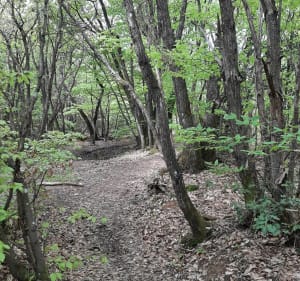 Randonnée champêtre entre Eyzin et ses alentours - Eyzin-Pinet - 4