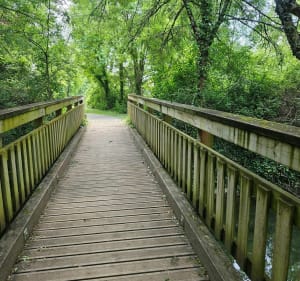 Au fil de l'eau et de la nature à Bergerac - Bergerac - 4
