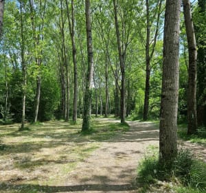 Au fil de l'eau et de la nature à Bergerac - Bergerac - 5