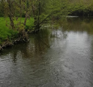 De l'île de la Merlerie au moulin de Rambourg - Rives-de-l'Yon - 3