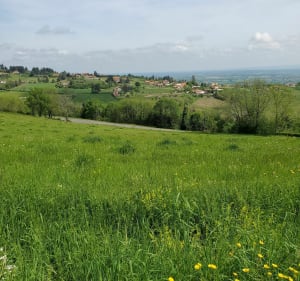 De Champagny à la Croix du Sud - Saint-Haon-le-Vieux - 3