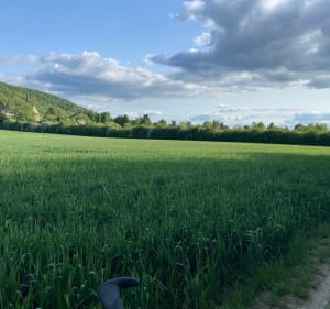 Des Andelys à Bouafles en VTC - Les Andelys - 3