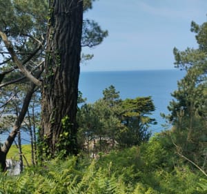 Du cap Levi à Cherbourg par le GR223 - Fermanville - 3