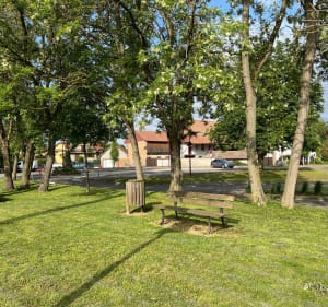 Lipsheim Blaesheim Geispo a travers champs et piste cyclable - Lipsheim - 3