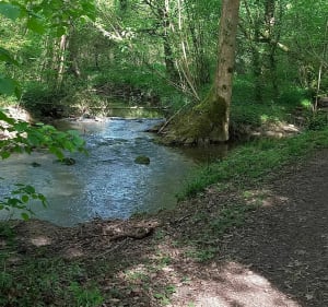 Grande randonnée en périphérie de Poitiers - Mignaloux-Beauvoir - 5