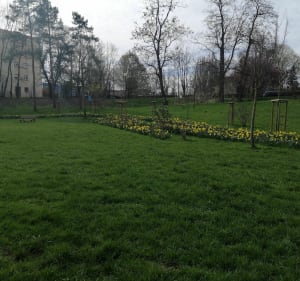 Superbe petite balade nature sur Metz métropole - Laetitia - 5