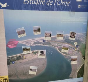 Belle balade à l'estuaire de l'Orne - Merville-Franceville-Plage - 4