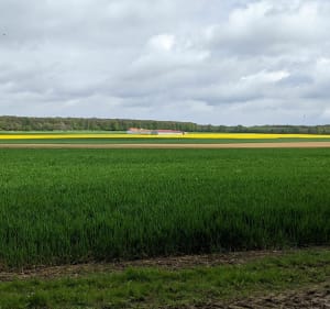 De la forêt de Meridon à la ferme de Coubertin - Saint-Rémy-lès-Chevreuse - 3
