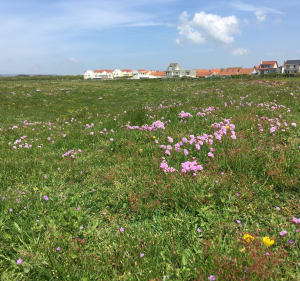 De la digue de Wimereux au fort d’Ambleteuse - Wimereux - 5