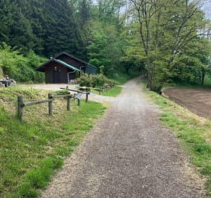 Autour de la Combe de Sillingy par Arzy - Sillingy - 5