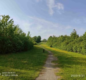Dans la campagne Dainvilloise par Wagnonlieu - Denis - 5