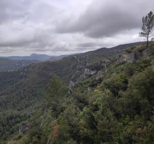 Les sentiers des Charbonniers par Jean Blanc - Méounes-lès-Montrieux - 5