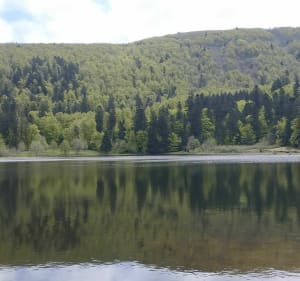Autour des deux Lacs. Blanchemer & la Lande - La Bresse - 5