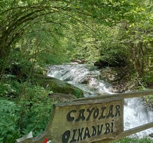 Belle rando Holzarté et Olhadubi - Larrau - 4