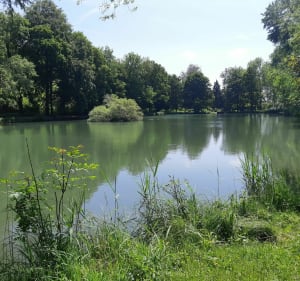 Du centre équestre de Piroué à l'étang de Merrey - Lay-Saint-Christophe - 3