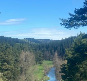 Au bord de la Truyere - Fontans - 3