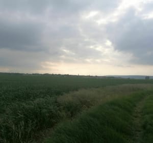 Balade entre forêts et champs à Bouafle et Ecquevilly - Cédric - 2