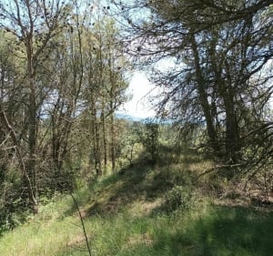 Balade VTT en Minervois - Malves-en-Minervois - 4