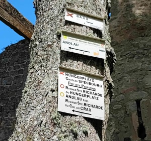Château d'Andlau, auberge Hungerplatz et  château Spesbourg. - Mittelbergheim - 5