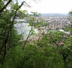 Balade en forêt et vue sur le lac d'Annecy - Annecy - 4