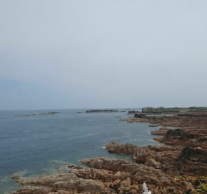 Bréhat - van het dorp naar de vuurtoren van Paon - Île-de-Bréhat - 4