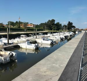 Balade matinale de Lanton à Taussat par le littoral - Lanton - 5
