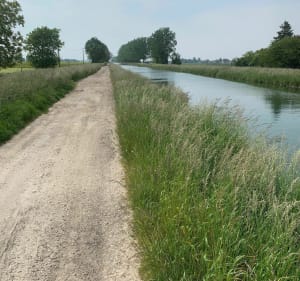 De L'Ouche au canal au départ de Neuilly - Neuilly-Crimolois - 5