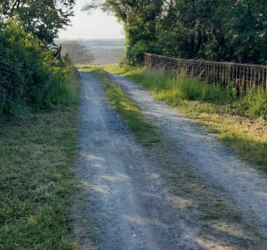 Balade autour du Petit Lay - Mouchamps - 5