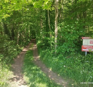 Les 2 chapelles au Hamel - Le Hamel - 5