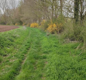 Balade autour d'Hangard par le Chemin de Lihons - Domart-sur-la-Luce - 3