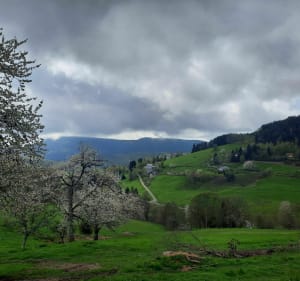 Autour d'Aubure par le Schlueck - Aubure - 4
