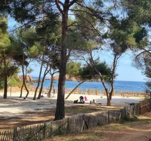 Loddewandeling naar de haven van Alon - Saint-Cyr-sur-Mer - 3