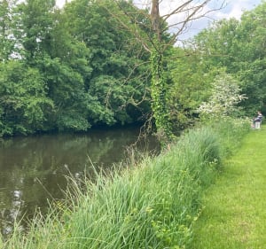 Du Bois de Boulogne au parc Mozaic par les canaux - Lille - 4